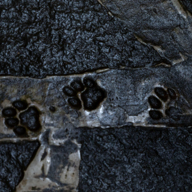 Mexicke pochutnani Fotka 161