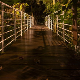 Mexicke pochutnani Fotka 110