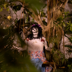 Mexicke pochutnani Fotka 166