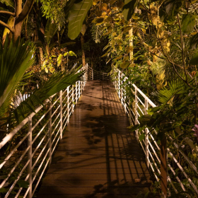 Mexicke pochutnani Fotka 111