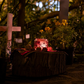 Mexicke pochutnani Fotka 162