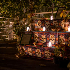 Mexicke pochutnani Fotka 99