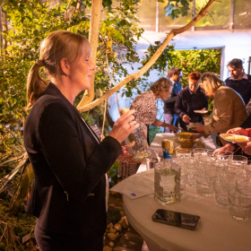 Mexicke pochutnani Fotka 124