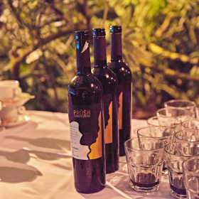 Mexicke pochutnani Fotka 177