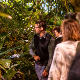 Mexicke pochutnani Fotka 100