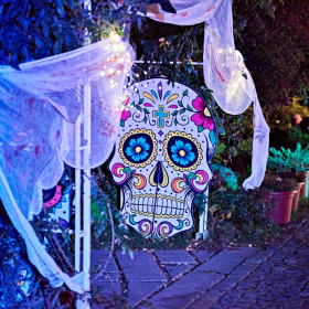 Mexicky_pruvod Fotka 63