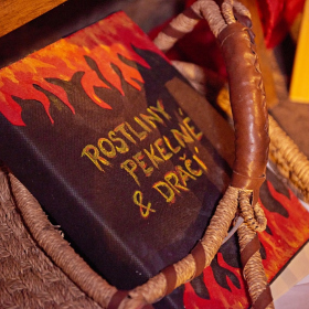 Mikuláš 2023 Fotka 85