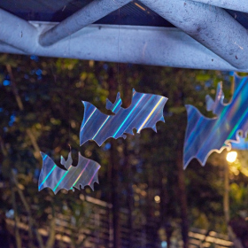 Mikuláš 2023 Fotka 28