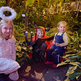 Mikuláš 2023 Fotka 76