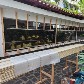 Paleotropická akvária Fotka 4