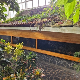 Paleotropická akvária Fotka 2