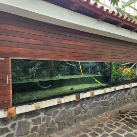 Paleotropická akvária Fotka 6