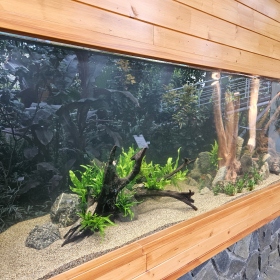 Paleotropická akvária Fotka 1