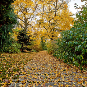 Podzim 2020 Fotka 25