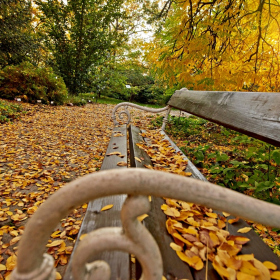 Podzim 2020 Fotka 24