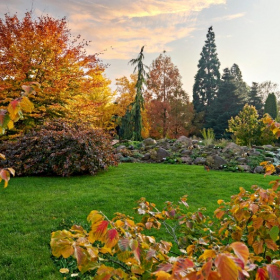 Podzim 2020 Fotka 26