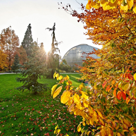 Podzim 2020 Fotka 29