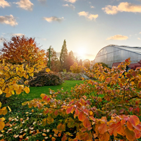 Podzim 2020 Fotka 27