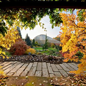 Podzim 2020 Fotka 21