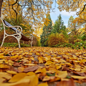 Podzim 2020 Fotka 23