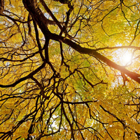 Podzim 2020 Fotka 22