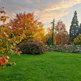 Podzim 2020 Fotka 30