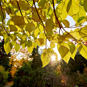 Podzim 2020 Fotka 28