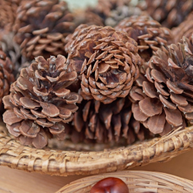 Podzimni tvoreni 2023 Fotka 58