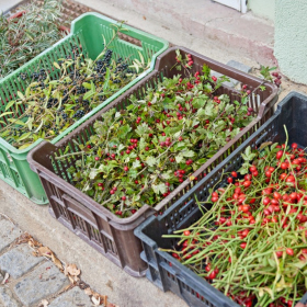 Podzimni tvoreni 2023 Fotka 70