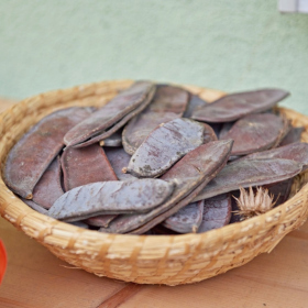 Podzimni tvoreni 2023 Fotka 62