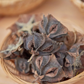 Podzimni tvoreni 2023 Fotka 63