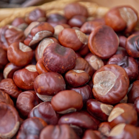 Podzimni tvoreni 2023 Fotka 59