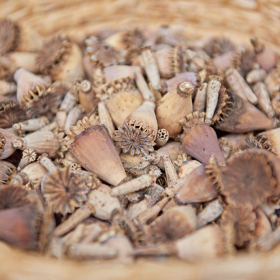 Podzimni tvoreni 2023 Fotka 67