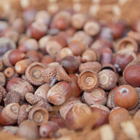 Podzimni tvoreni 2023 Fotka 66