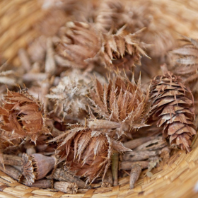 Podzimni tvoreni 2023 Fotka 60