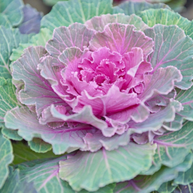 Podzimni tvoreni 2023 Fotka 55