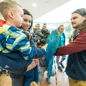 Roztáhněte křídla a leťte 2024 Fotka 35