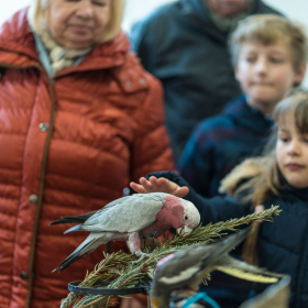 Roztáhněte křídla a leťte 2024 Fotka 25