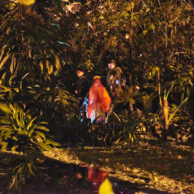 Strasidelna botanka 2023 Fotka 52