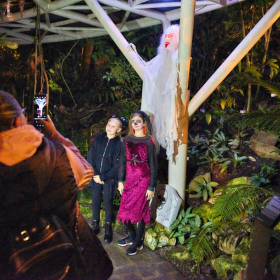 Strasidelna botanka 2023 Fotka 50