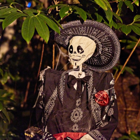 Strasidelna botanka 2023 Fotka 59