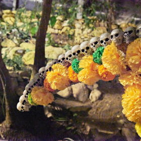 Strasidelna botanka 2023 Fotka 119