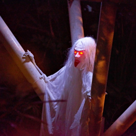 Strasidelna botanka 2023 Fotka 104