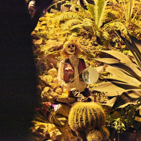 Strasidelna botanka 2023 Fotka 42