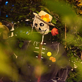 Strasidelna botanka 2023 Fotka 58