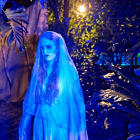 strašidelná botanka 2022 Fotka 64