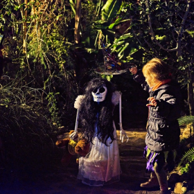 strašidelná botanka 2022 Fotka 35