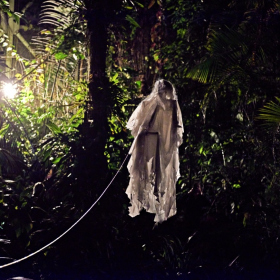 strašidelná botanka 2022 Fotka 68