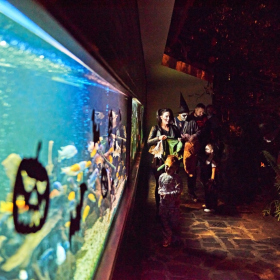 strašidelná botanka 2022 Fotka 43