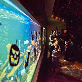 strašidelná botanka 2022 Fotka 42